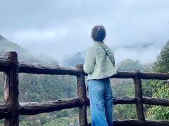 -石台牯牛降景区
