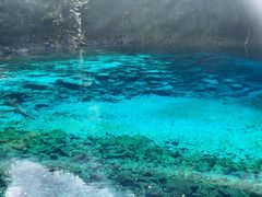 -如意林卡藏餐吧 (九寨沟店)