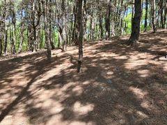 -棋盘山风景区