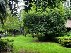 -海南清水湾莱佛士酒店