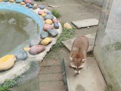 -国色天乡三期陆地乐园