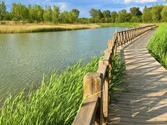 -野鸭湖国家湿地公园