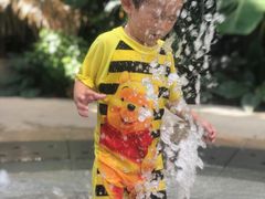 -南宫温泉水世界