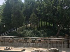 -黄村公园
