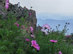 -白草畔自然风景区