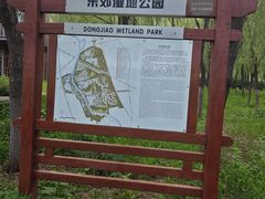 -东郊湿地公园