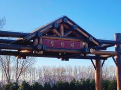 -野鸭湖国家湿地公园