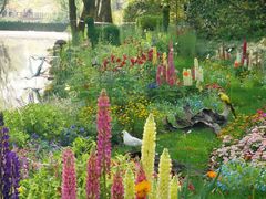 -上海共青森林公园