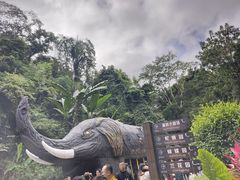 -野象谷景区