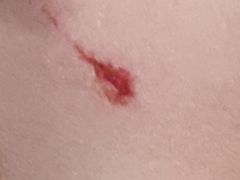 -新视达眼镜(和兴路店)