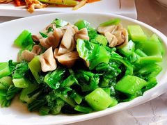 草菇盖菜-马凯餐厅(长椿街店)