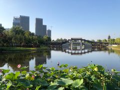 -西海子公园