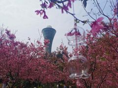 -狐尾山公园
