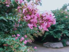 -国家植物园