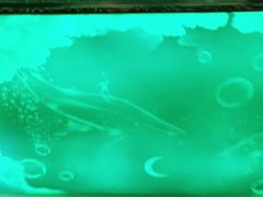 -星光大道KTV(金沙洲店)
