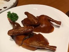 -广州富力君悦大酒店空中花园