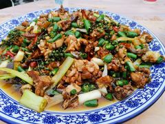 -铁山坪森林公园