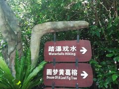 -呀诺达热带雨林