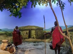 -国家自然博物馆