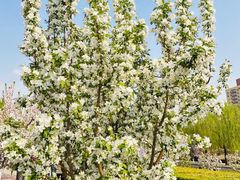 -元大都城垣遗址公园