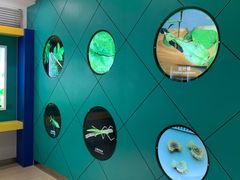 -上海昆虫博物馆