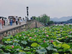 -西湖游船