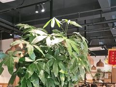 -金柱大盘鸡(波斯坦店)