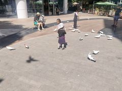 -中粮·祥云小镇