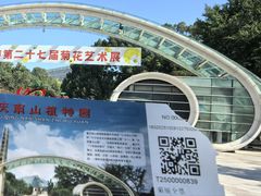 -南山植物园