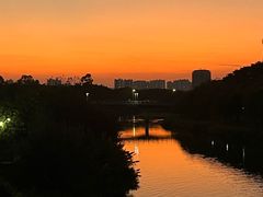 -广东花都湖国家湿地公园