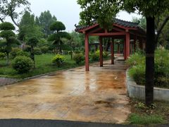 -灵山莲花公园-温泉度假区