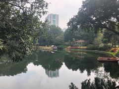 -晓港公园