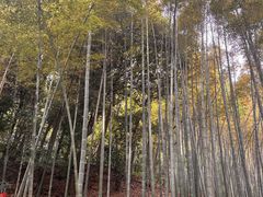 -杭州黄龙洞