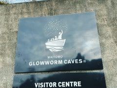 -怀托摩萤火虫洞