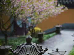 -慧因高丽寺