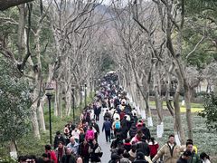 -西湖游船