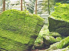 -梭布垭石林景区