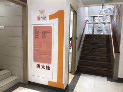 -睿宝儿科·眼科·口腔(杨浦新江湾城店)