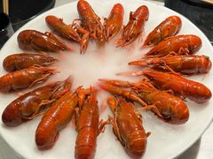 -红盔甲·小龙虾(天钥桥店)