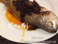 -小天鹅戴斯酒店鲸鲨百汇创作料理