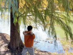 -上海海湾国家森林公园