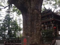 -安溪清水岩