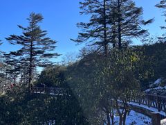 -瓦屋山景区
