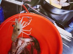 -会江钓鱼钓虾烧烤场