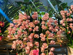 -三圣花乡旅游区