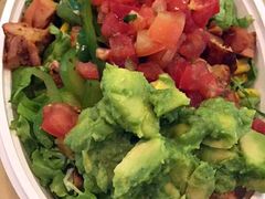-油梨树 AVOCADO TREE(亮马桥店)