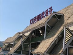 -亚龙湾热带天堂森林公园