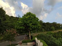-火炉山森林公园