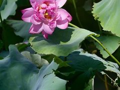 -绍兴鉴湖君澜大酒店