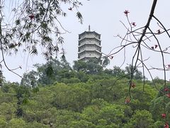 -深圳国际园林花卉博览园